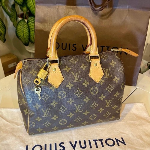 Louis vuitton speedy - louis, 25